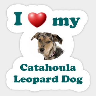 I Love My Catahoula Leopard Dog Sticker